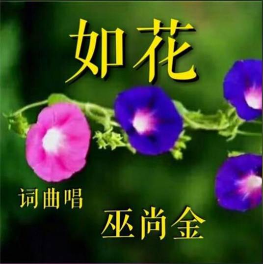 如花（巫尚金演唱歌曲）