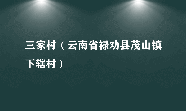 三家村（云南省禄劝县茂山镇下辖村）