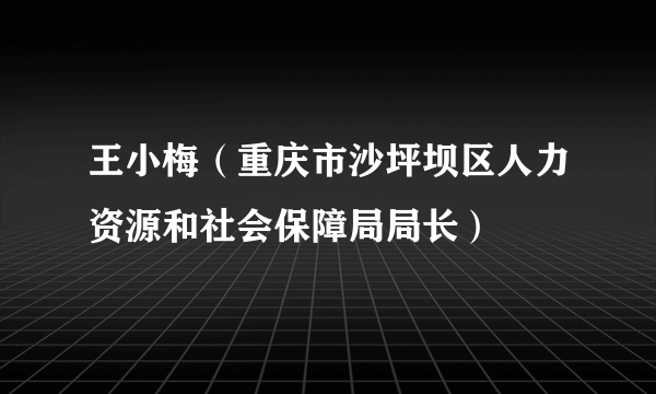 王小梅（重庆市沙坪坝区人力资源和社会保障局局长）