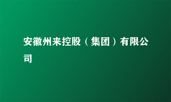 安徽州来控股（集团）有限公司