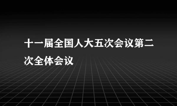 十一届全国人大五次会议第二次全体会议