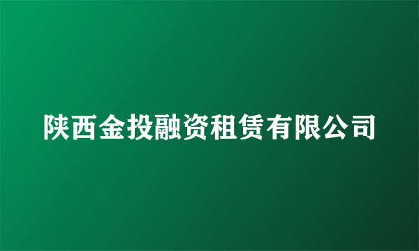 陕西金投融资租赁有限公司