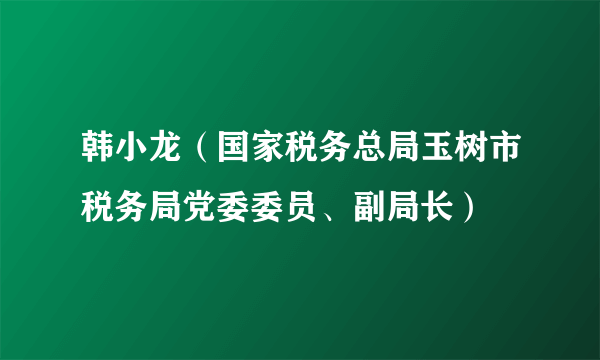 韩小龙（国家税务总局玉树市税务局党委委员、副局长）