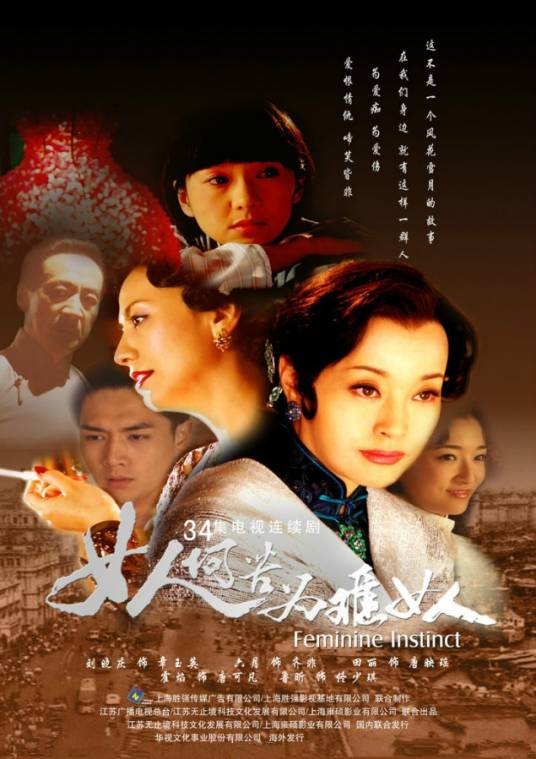 女人何苦为难女人（2008年刘晓庆、田丽主演的电视剧）