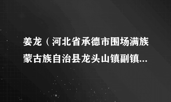 姜龙（河北省承德市围场满族蒙古族自治县龙头山镇副镇长、派出所所长）