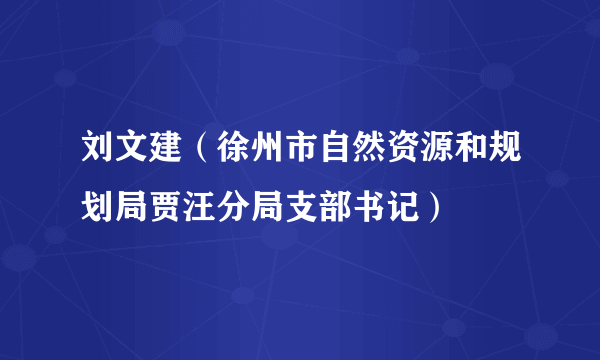 刘文建（徐州市自然资源和规划局贾汪分局支部书记）