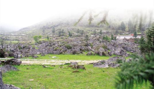 高炉村（六盘水市钟山区双戛街道下辖村）