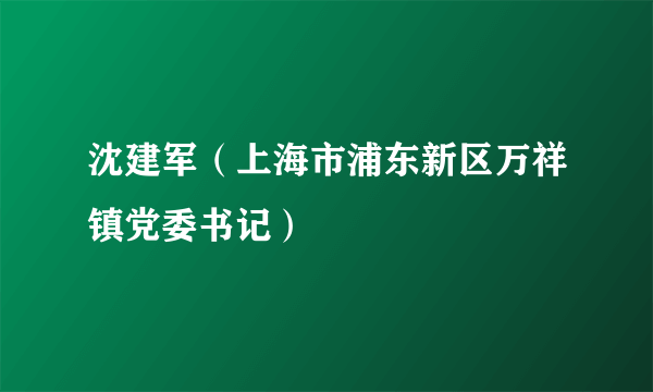 沈建军（上海市浦东新区万祥镇党委书记）