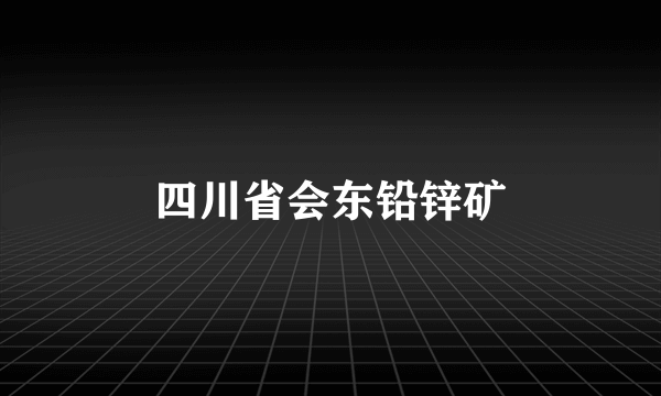 四川省会东铅锌矿