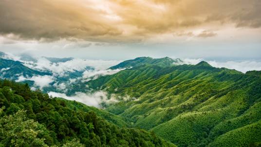 黄洋界（中国江西省井冈山市井冈山风景内景点）