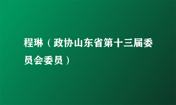 程琳（政协山东省第十三届委员会委员）