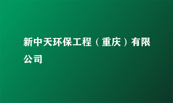 新中天环保工程（重庆）有限公司