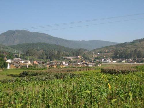 柳泉村（山西省晋城市泽州县金村镇下辖村）