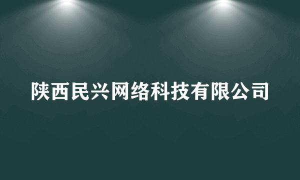 陕西民兴网络科技有限公司