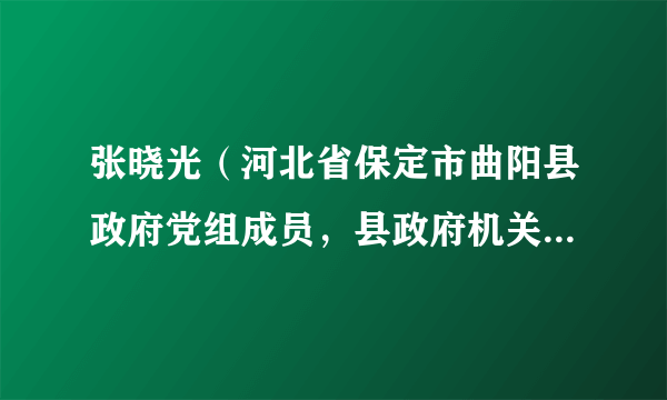 张晓光（河北省保定市曲阳县政府党组成员，县政府机关党组书记、办公室主任）