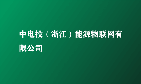 中电投（浙江）能源物联网有限公司