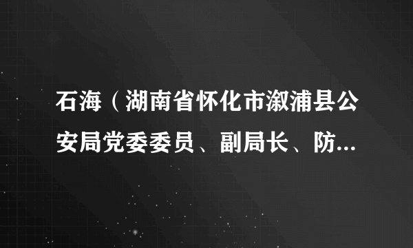 石海（湖南省怀化市溆浦县公安局党委委员、副局长、防控中心主任）