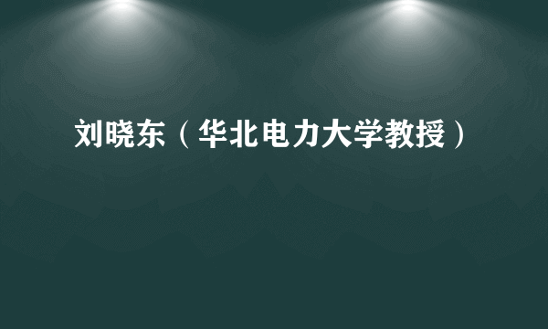 刘晓东（华北电力大学教授）