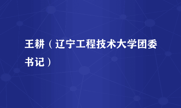 王耕（辽宁工程技术大学团委书记）