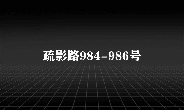 疏影路984-986号