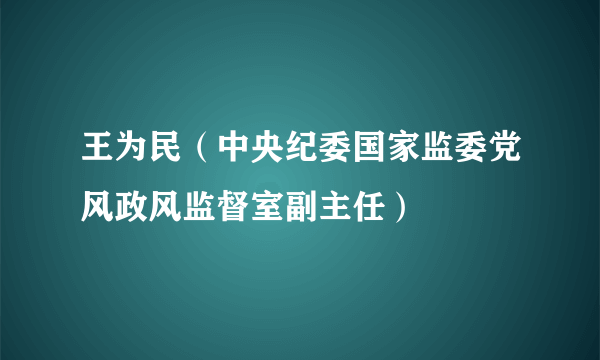 王为民（中央纪委国家监委党风政风监督室副主任）