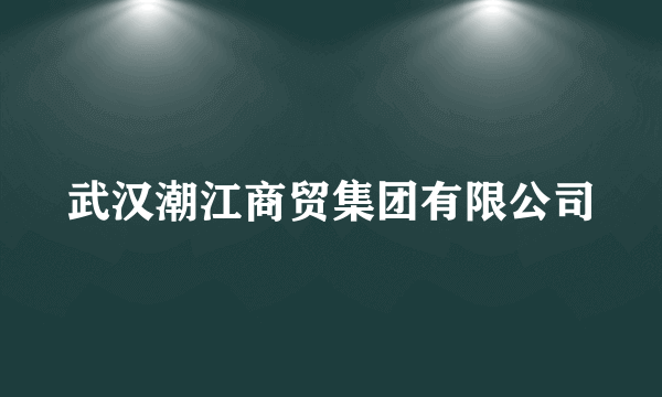 武汉潮江商贸集团有限公司