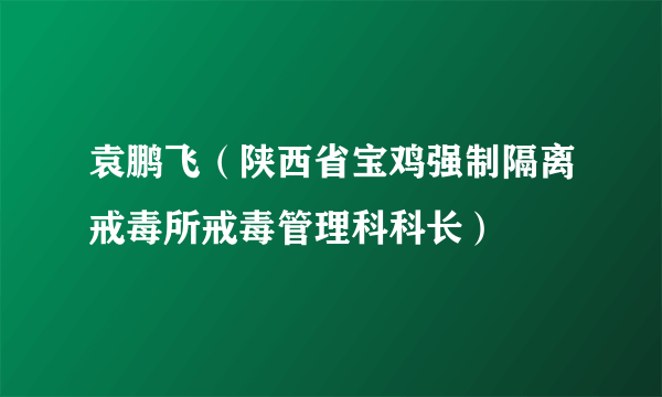 袁鹏飞（陕西省宝鸡强制隔离戒毒所戒毒管理科科长）