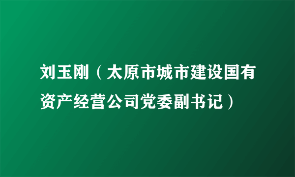 刘玉刚（太原市城市建设国有资产经营公司党委副书记）