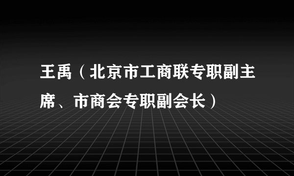 王禹（北京市工商联专职副主席、市商会专职副会长）