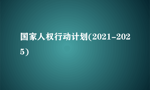 国家人权行动计划(2021-2025)