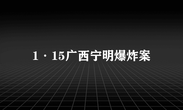 1·15广西宁明爆炸案