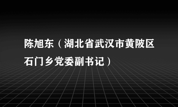 陈旭东（湖北省武汉市黄陂区石门乡党委副书记）