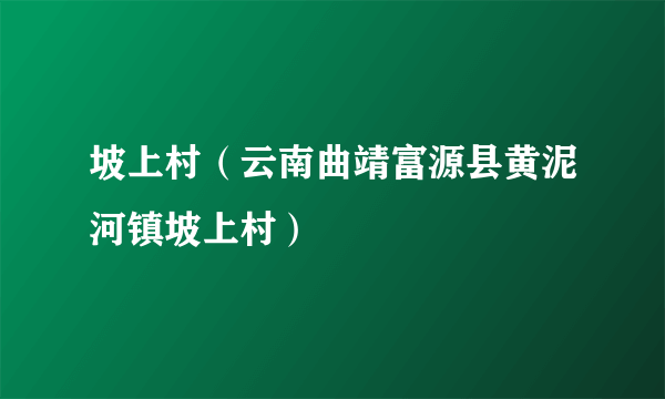 坡上村（云南曲靖富源县黄泥河镇坡上村）