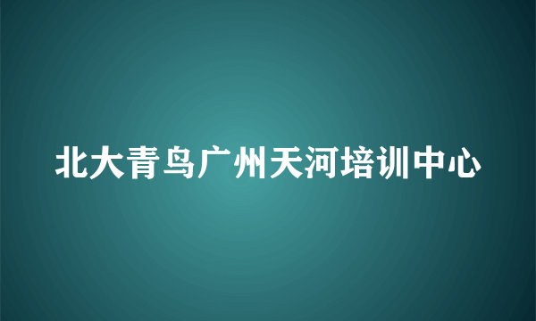 北大青鸟广州天河培训中心