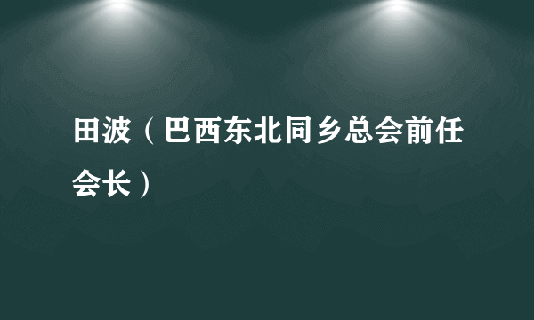 田波（巴西东北同乡总会前任会长）