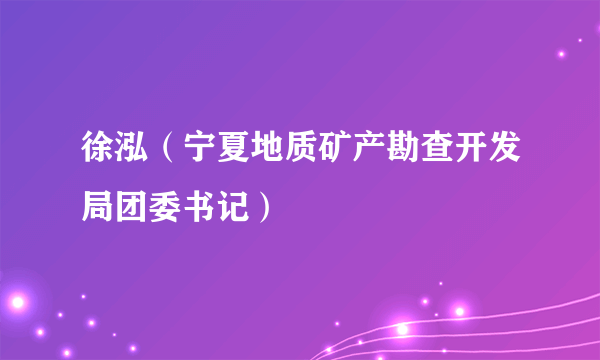 徐泓（宁夏地质矿产勘查开发局团委书记）