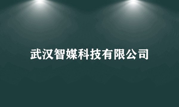 武汉智媒科技有限公司