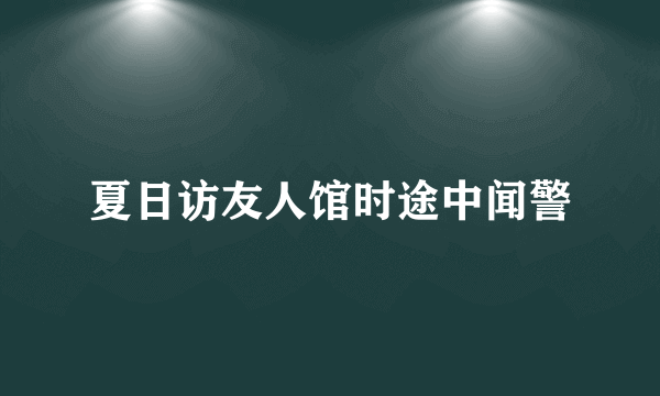 夏日访友人馆时途中闻警