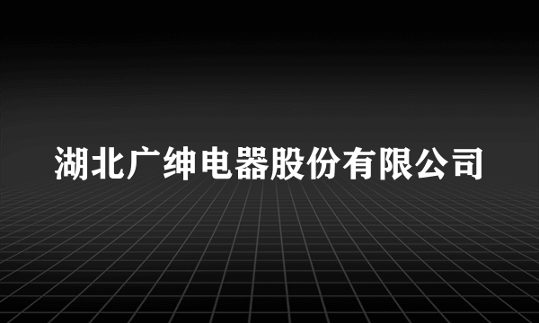 湖北广绅电器股份有限公司