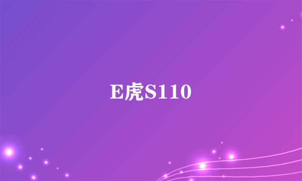 E虎S110