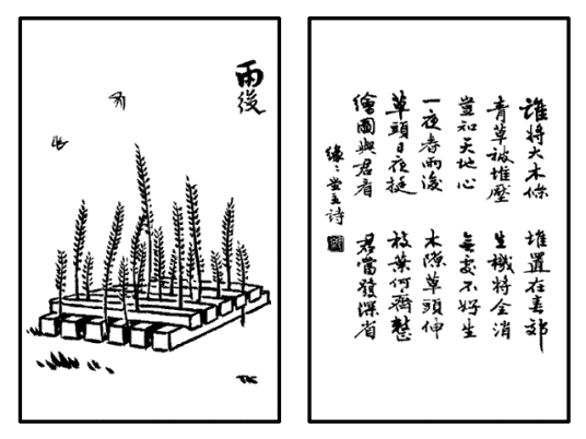 雨后（丰子恺《护生画集》中的文章）