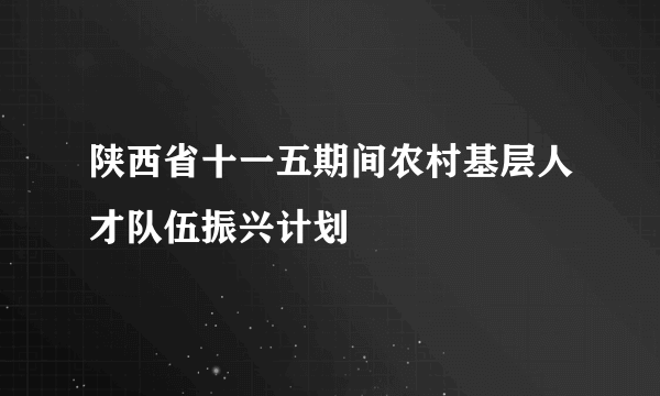 陕西省十一五期间农村基层人才队伍振兴计划