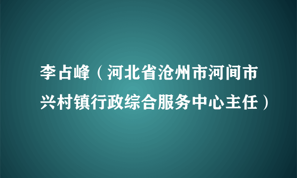 李占峰（河北省沧州市河间市兴村镇行政综合服务中心主任）