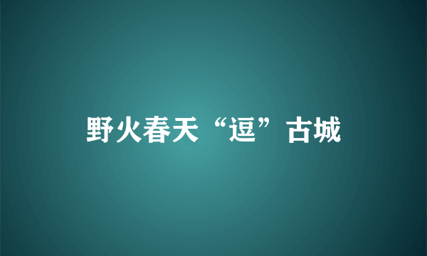 野火春天“逗”古城