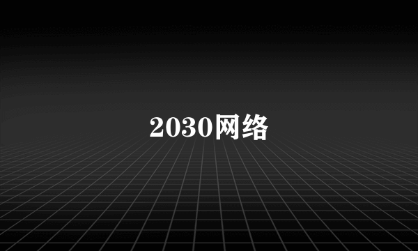 2030网络