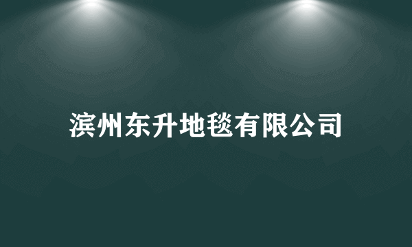 滨州东升地毯有限公司