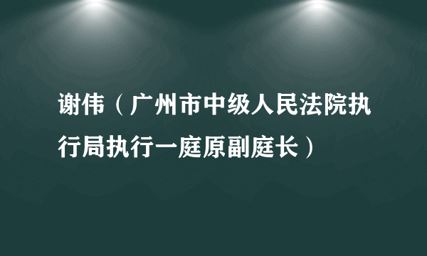 谢伟（广州市中级人民法院执行局执行一庭原副庭长）