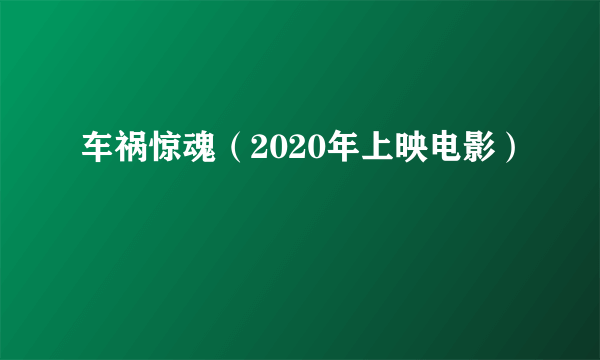 车祸惊魂（2020年上映电影）