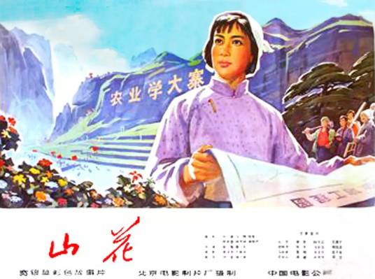 山花（1976年电影）