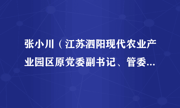 张小川（江苏泗阳现代农业产业园区原党委副书记、管委会主任，原泗阳县农业委员会党委委员、副主任（挂职））